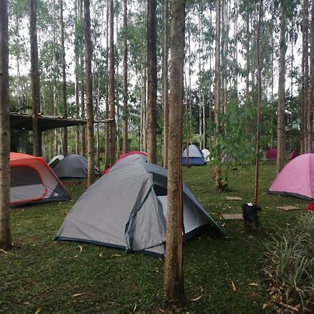 Murchison Backpackers Masindi Exterior foto